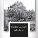 Mister Dockins Whishes