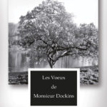 Les Voeux de Monsieur Dockins